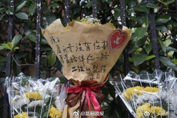 阻冲之什么梗